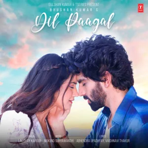  Dil Paagal Song Poster